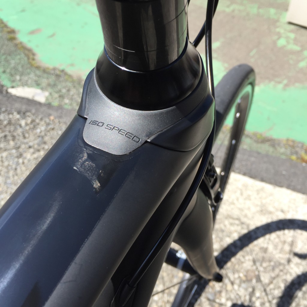domane01