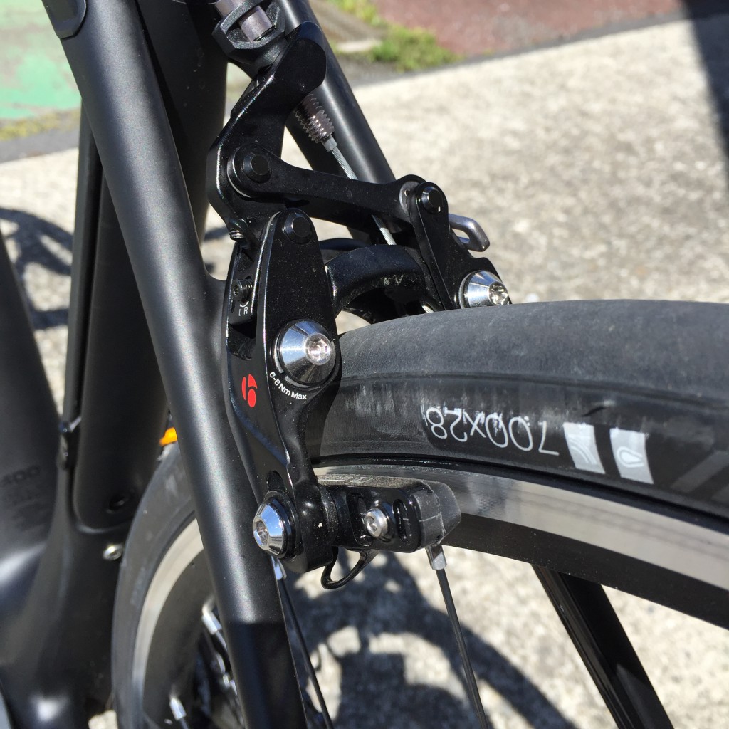 domane02